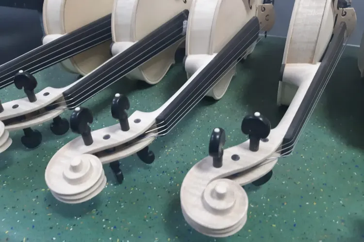 O vioară veche de 100-300 de ani, investigată radiografic și CT la USAMV Cluj-Napoca - FOTO   