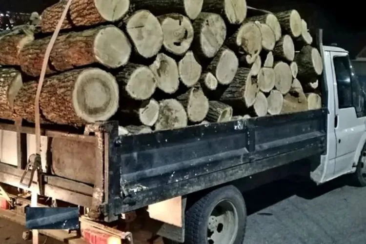 Hoț de lemne tupeist prins în Iara fără permis și cu autoutilitara plină