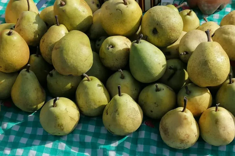 Piața volantă din Florești, un adevărat succes pentru locuitori - FOTO