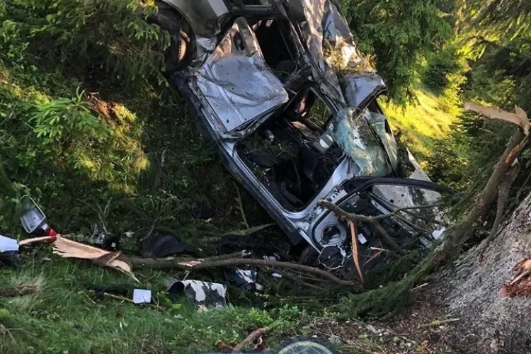 Șofer inconștient la Cluj! A lovit un brad la Beliș și s-a făcut ”acordeon”, iar acum se filmează pe Facebook cu 180 km/h - VIDEO   