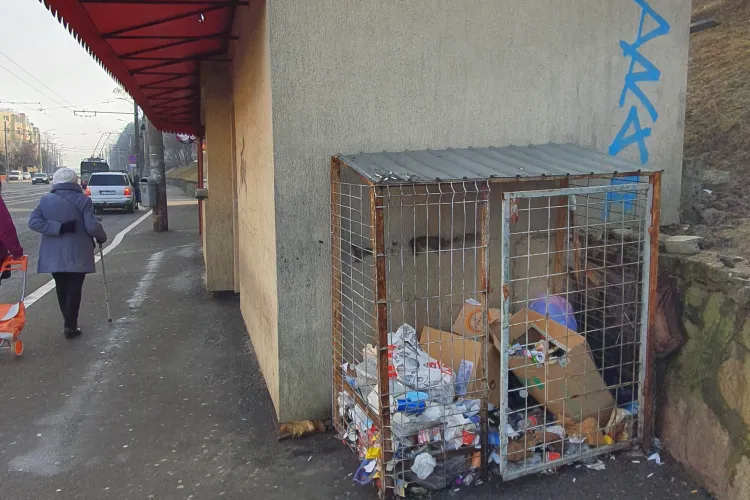 Șobolani în gunoiul de lângă stația de autobuz din Mănăștur, strada Primăverii - VIDEO cititor EXCLUSIV   