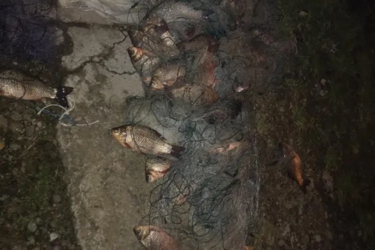 Bărbați cercetați pentru furt calificat după ce au pescuit  peste 100 de kilograme de pește - FOTO