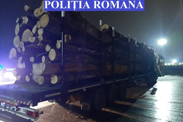 Partidul Diaspora Unită a urmărit cu CURAJ un TIR cu lemne furate la Cluj: De ce se fac avizele noaptea și se încarca tot noaptea?  - VIDEO 