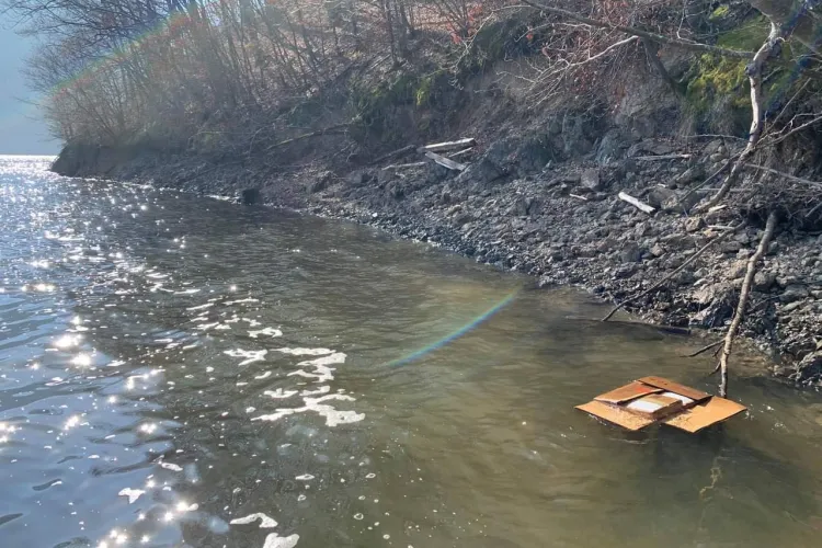 Deșeuri farmaceutice aruncate în Tarnița. Plajele sunt pline cu medicamente: antibiotice, analgezice și anticonceptionale expirate - FOTO EXCLUSIV