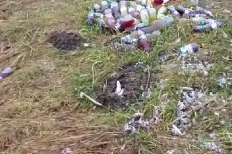 Nesimțire uriașă! Pet -uri pline cu suc aruncate pe malul Someșului - VIDEO   
