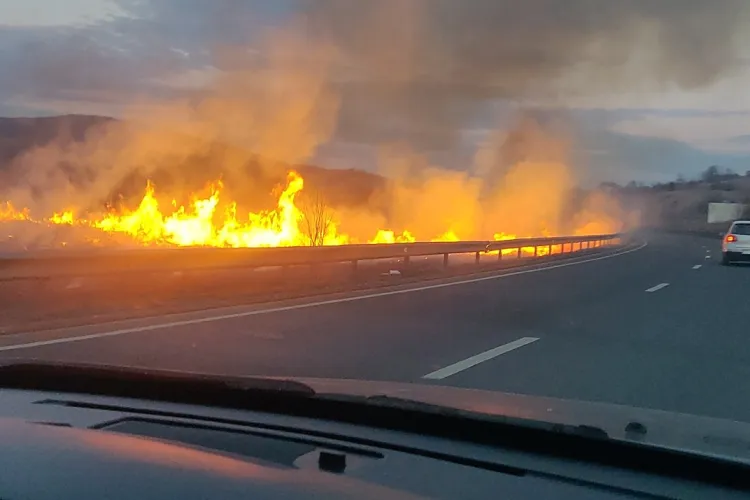Un piroman a dat foc stufărișului de la Mera. Înceope sezonul de primăvară - FOTO