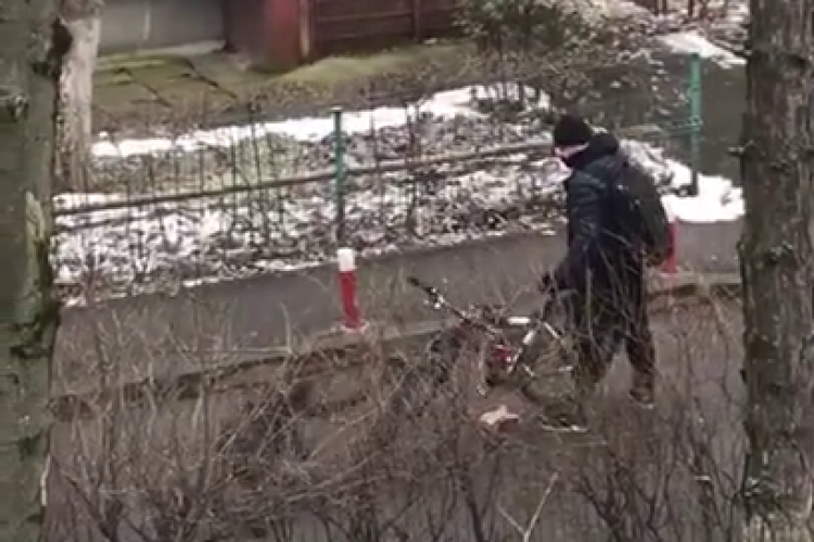 Câinele Petrică cu pata pusă pe bicicliști, în Mănăștur - VIDEO
