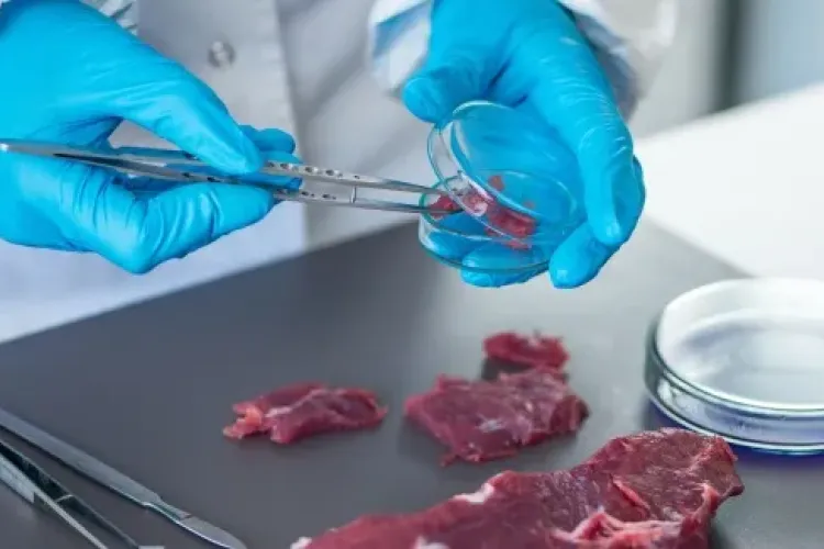 Un alt VIRUS amenință România. A fost deja descoperit în 36 de județe