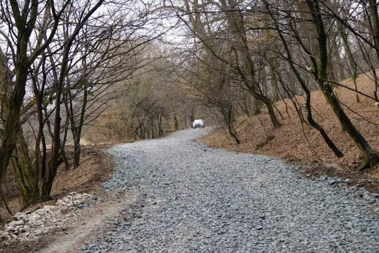 Boc despre blocul din Pădurea Hoia: Cum să respecte legea dacă face 800 de apartamente și nu ai unde merge cu mașinile?   