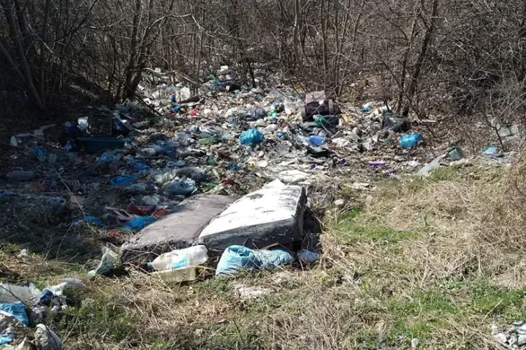 15 tone de gunoaie adunate de pe traseul Centurii de Nord - FOTO