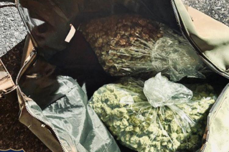 Un câine a descoperit jumătate de tonă de marijuana în valoare de 8 milioane de dolari - FOTO