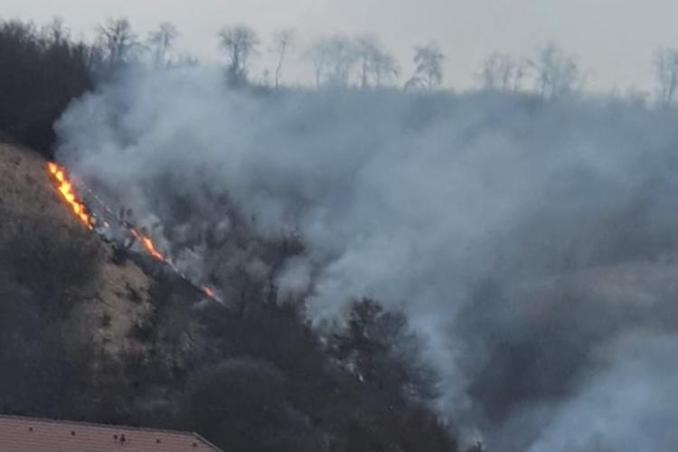 S-a aprins pădurea din Florești, de la un foc pus de un necunoscut - FOTO - VIDEO Cititor