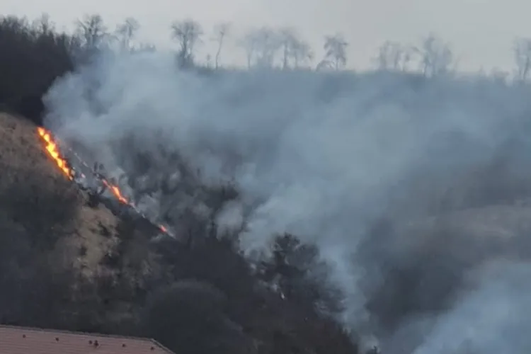 S-a aprins pădurea din Florești, de la un foc pus de un necunoscut - FOTO - VIDEO Cititor