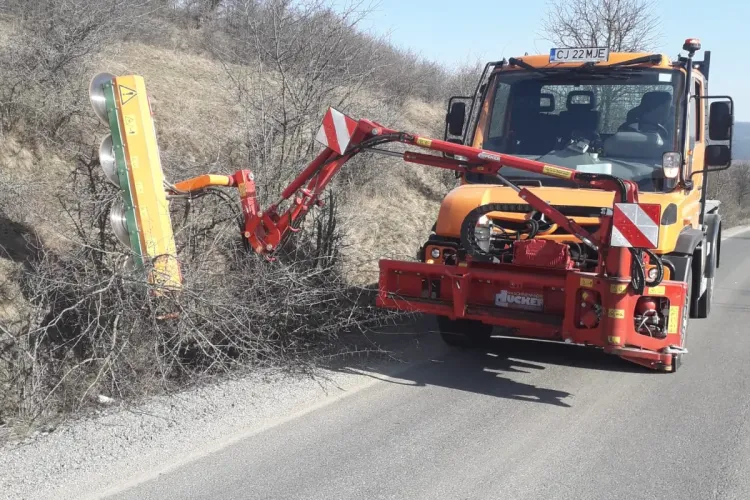 În sfârșit se tund copacii de pe drumurile județene din Cluj - FOTO   