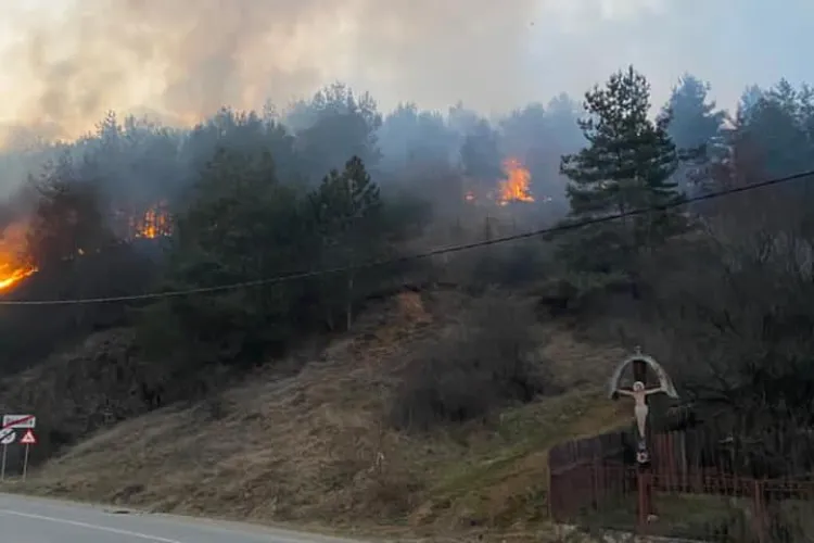 Incendiu de vegetație la Băișoara! Intervenție a celor de la CERT, alături de pompieri - VIDEO