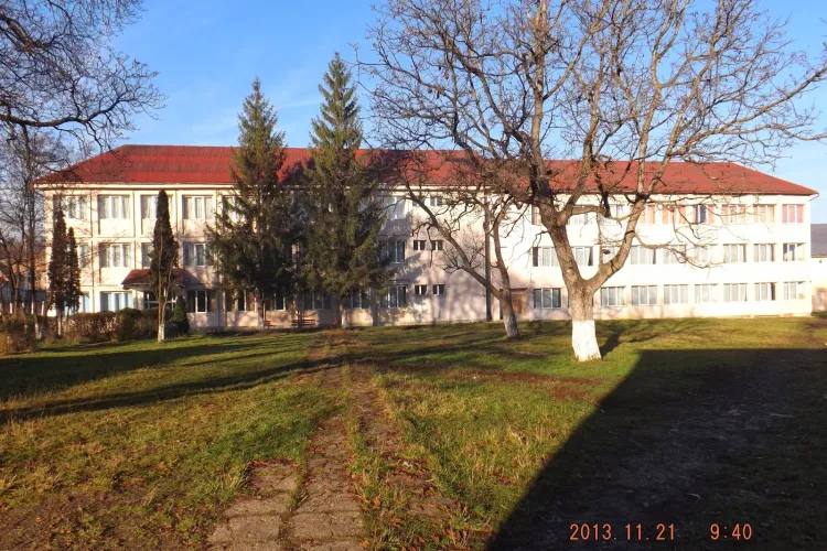 Școala Aghireș Fabrici - Contact, adresa, Număr de telefon