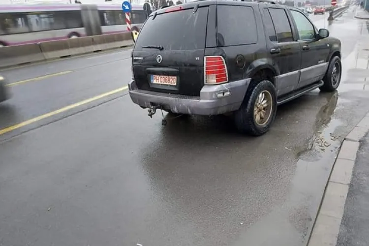 Patru câini ținuți într-o mașină în Florești, pe marginea drumului. Proprietarul spune că sunt bine (Audio)