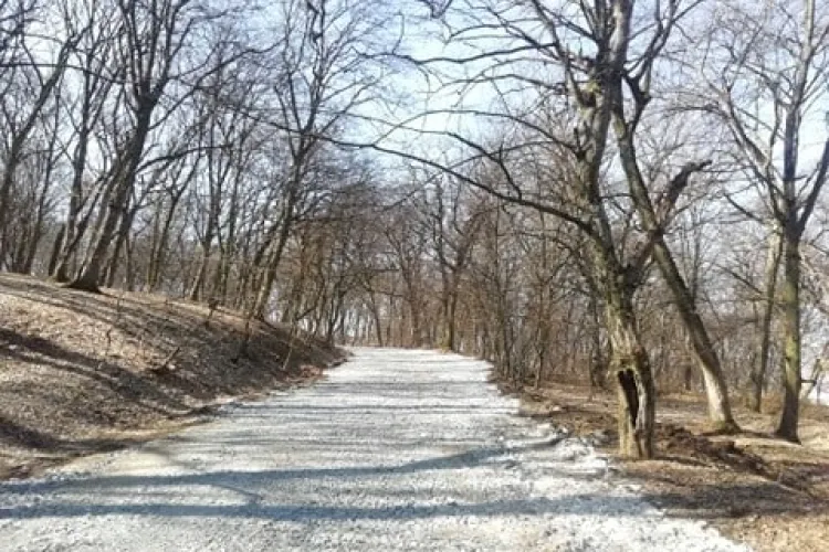 Prefectul UDMR Tasnadi Szilard dă piept cu rechinii imobiliari. I se cere să anuleze autorizația de contrucție de 700 de apartamente de la Hoia   