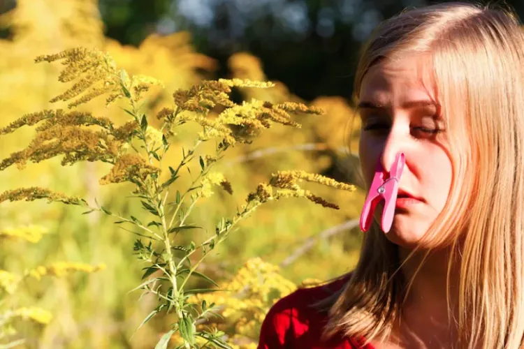 Tratament FEBRA FÂNULUI. Ce este febra fânului și cum se tratează
