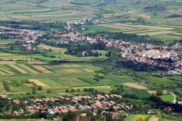 Primaria Iara - Contact, telefon, adresa