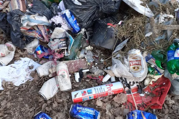 Gunoaie aruncate între Finișel și Săvădisla. Ștefan Astalos, primar: Vinovații au fost prinși. Amenda e de 6000 de lei - FOTO