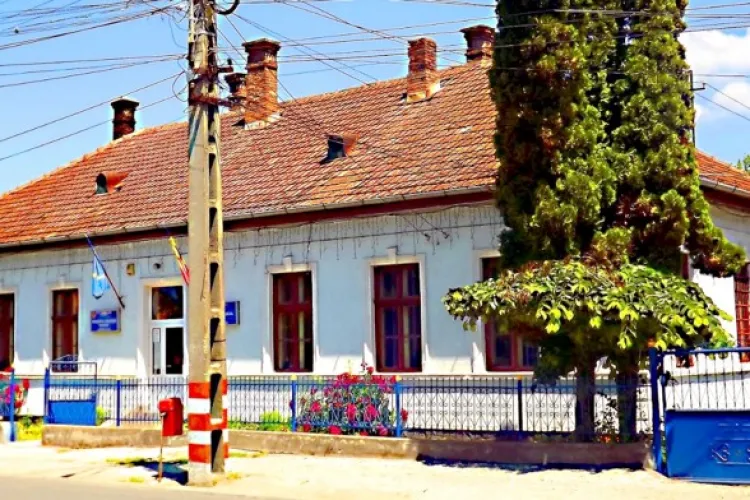 Primaria Ciucea - Contact, telefon, adresa