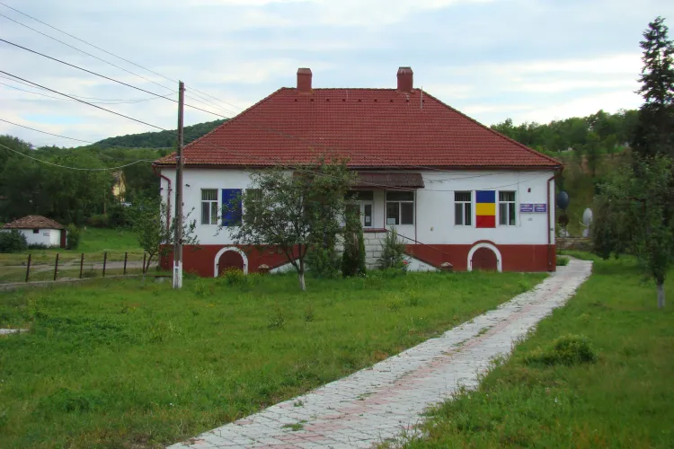 Primaria Dăbâca - Contact, telefon, adresa