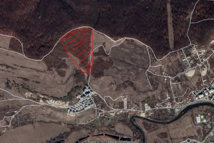 Contre între consilierii locali PNL și USR, după scandalul din Comisia de urbanism, unde Sergiu Leuce i-a adus pe dezvoltatorii imobiliari