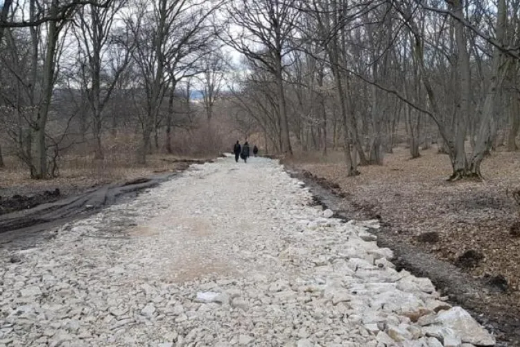 USR-PLUS Cluj spune NU drumului prin Pădurea Hoia 