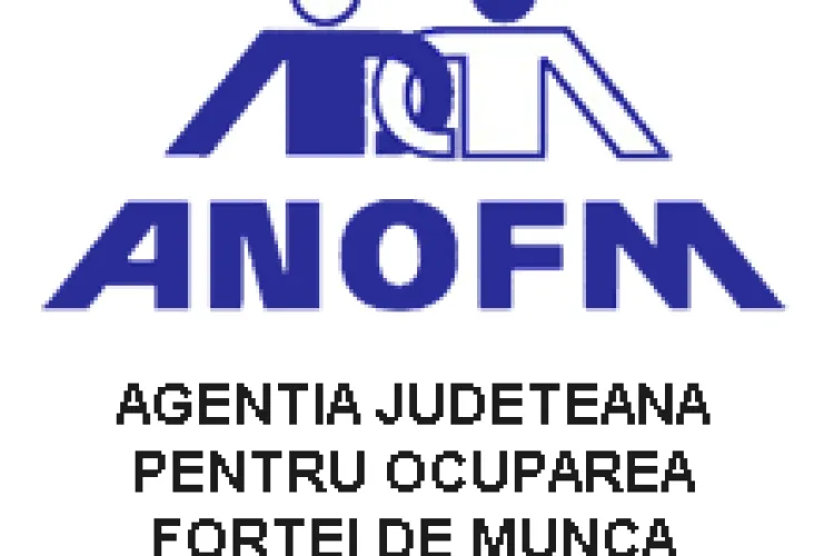AJOFM Dej - Adresa, telefon Agenţia Locală pentru Ocuparea Forţei de Muncă Dej 