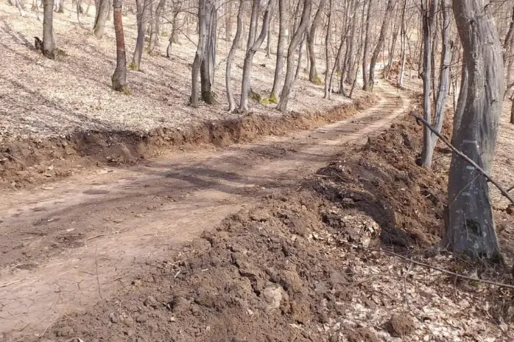 Construcții pe strada Stejarului, din Florești, fără autorizație! Poliția Locală a dat amenzi - FOTO