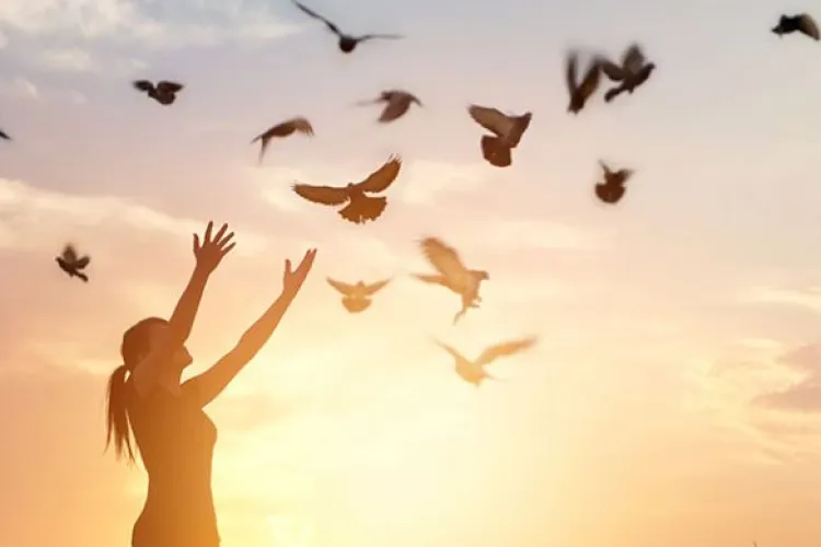 Zodiacul care aduce vești bune și luminița de la capătul tunelului