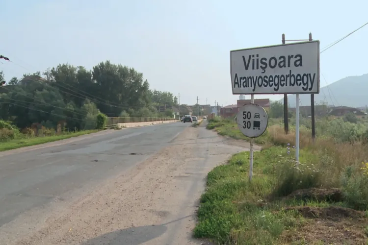 Primăria Viișoara - Contact, adresa, telefon, email