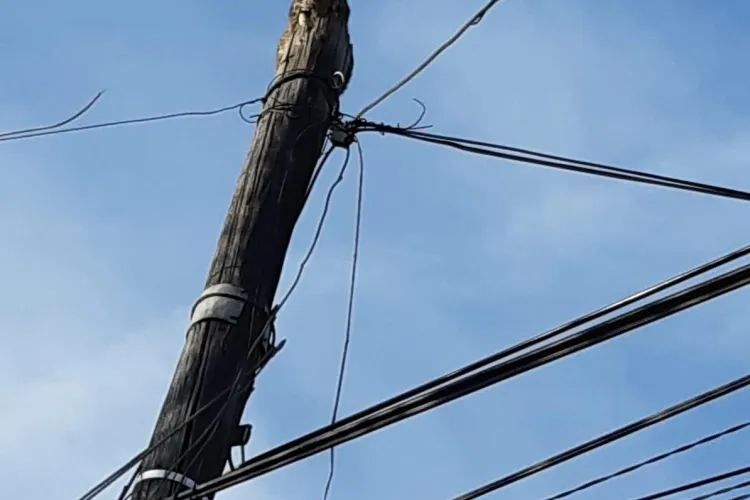 O pisică e de 2 zile pe un stâlp din Baciu și pompierii nu intervin: Am rămas fără umanitate? - FOTO