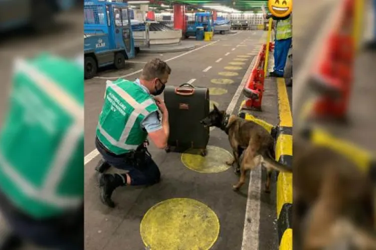 Un român a anunţat că are o bombă în valiză pe un aeroport din Amsterdam