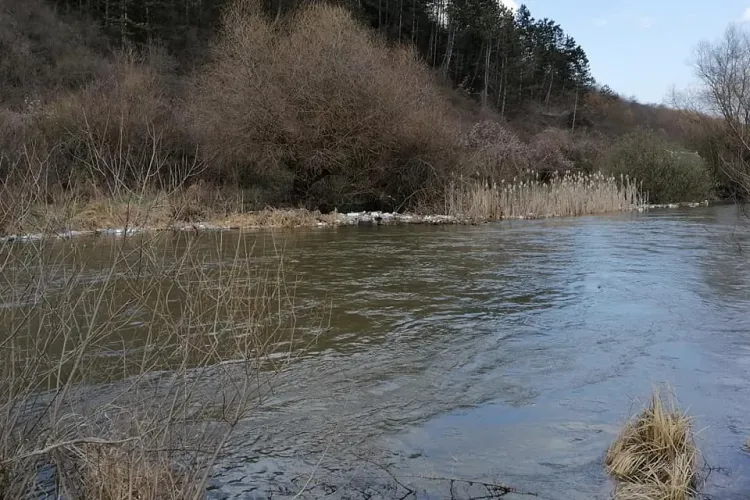 Au reapărut gunoaiele în Florești, pe malul Someșului. Ce trebuie făcut pentru a fi curat? - FOTO