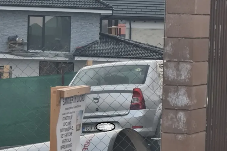 VIDEO Socant cu câinele chinuit care a fost tras după mașină, lângă Cluj-Napoca- IMAGINI EXCLUSIV