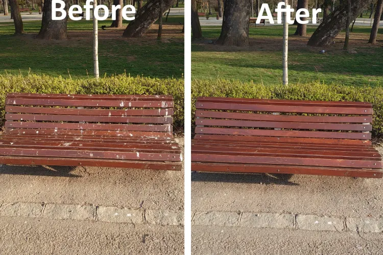 Un clujean a spălat o bancă din Parcul Central, plină de excremente de pasăre. Lecție predată celor de la Spații Verzi - FOTO