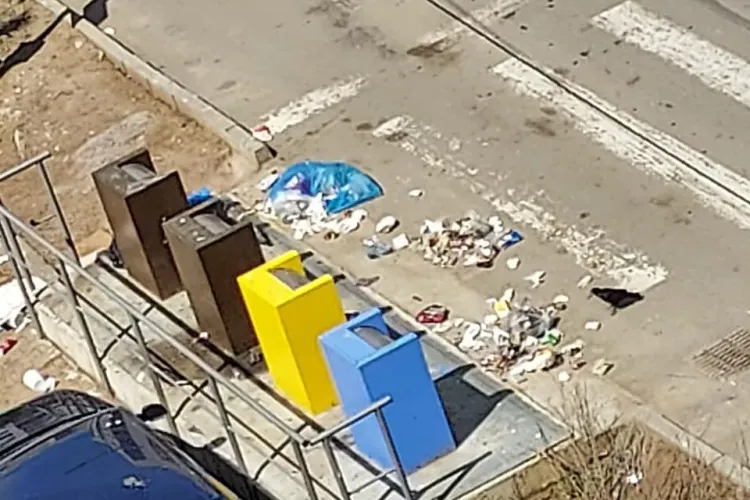 Băcenii au făcut curățenie de primăvară. A doua zi au găsit RUȘINEA asta - FOTO