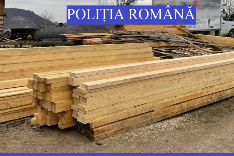 Garda Forestieră Cluj a împărțit amenzi de mii de lei pentru exploatarea lemnului - FOTO