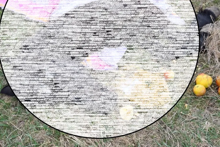 Cal leșinat spre Colonia Sopor: Poliția animalelor a refuzat să intervină. Mi-au zis să postez pe Facebook - FOTO