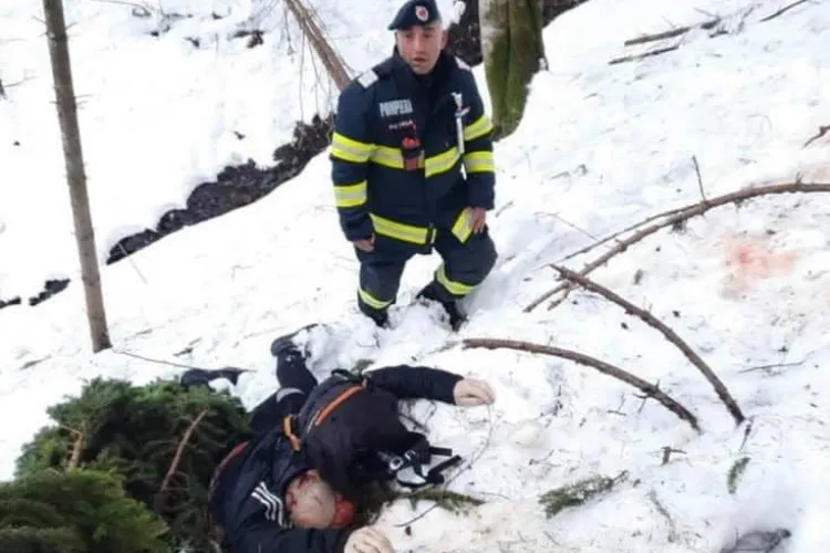 Poliția încă nu a acționat în cazul bărbatului omorât de un urs. „Viața unui om valorează mai mult decât a tuturor urșilor” - FOTO