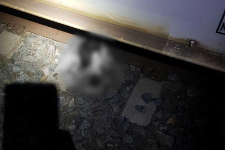 Accident de tren cu detalii șocante! Un bărbat a fost decapitat - FOTO   