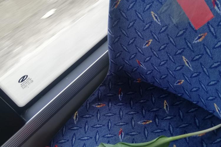 Gesturi frumoase! În Florești, cineva a lăsat flori pe saune într-un autobuz - FOTO
