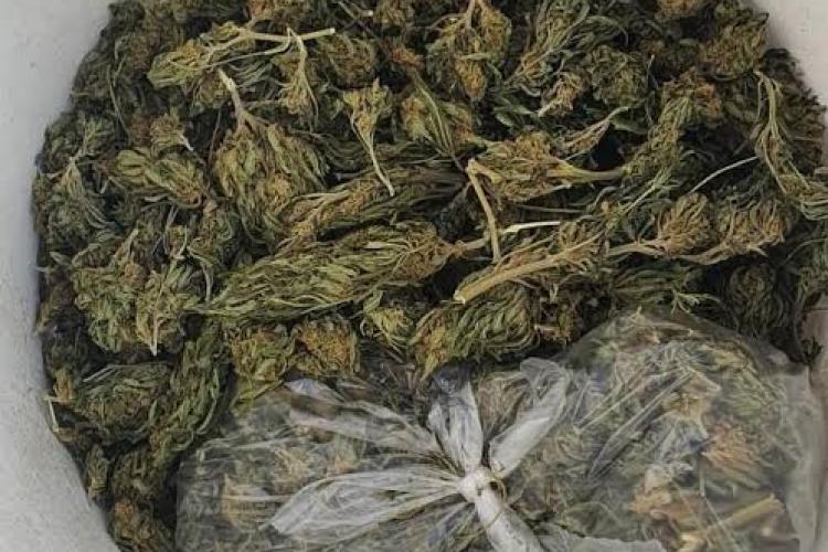 Traficanți de droguri prinși într-un județ învecinat Clujului. Vindeau un kilogram de cannabis