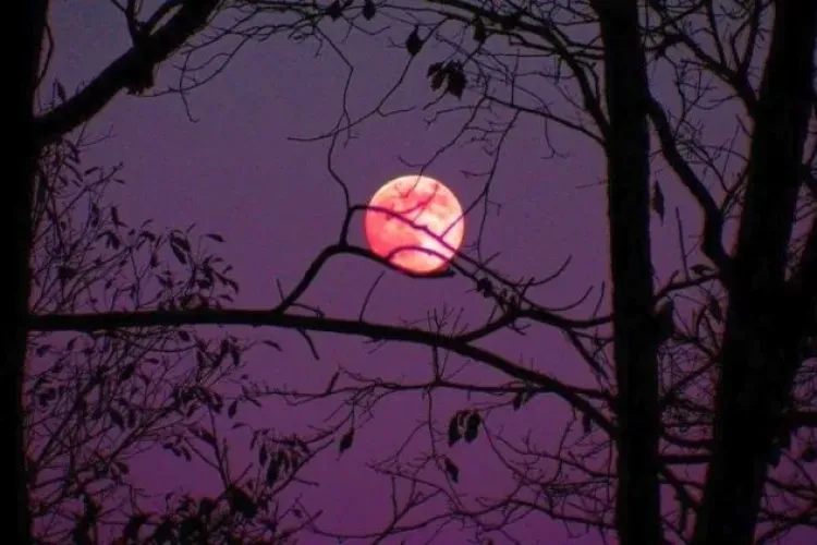 Luna Roz 2021. Până când mai poate fi văzut fenomenul astrologic?