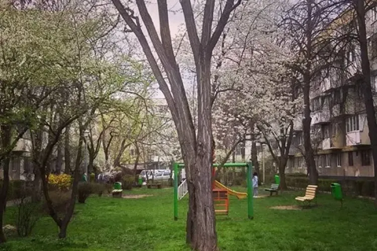 Cum au ajuns ”blocurile comuniste” din Gheorgheni modele de urbanism în 2021? - FOTO