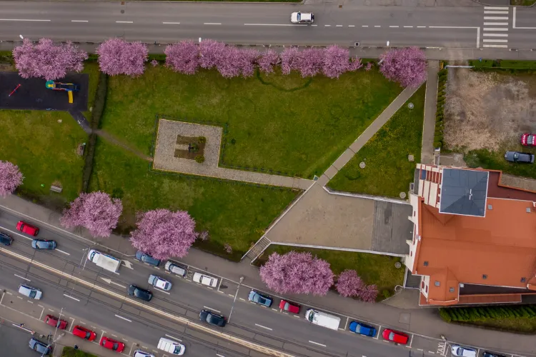 Oaza de frumos din Mănăștur. Cum arată grădina Bisericii Greco-Catolică Coborârea Spiritului Sfânt - FOTO