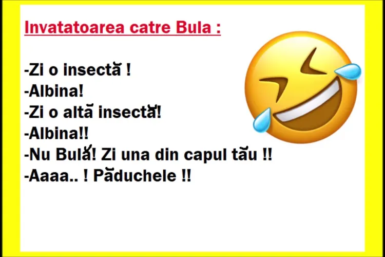 Banc cu Bulă la școală: Bulă zi o insectă - FOTO