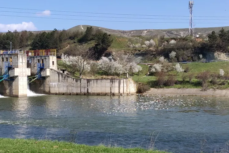 Mare de PET -uri pe Someș. în Florești. Oare când ne vom civiliza? - FOTO